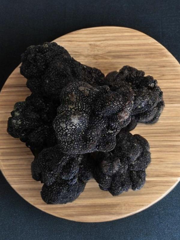 TARTUFO FRESCO