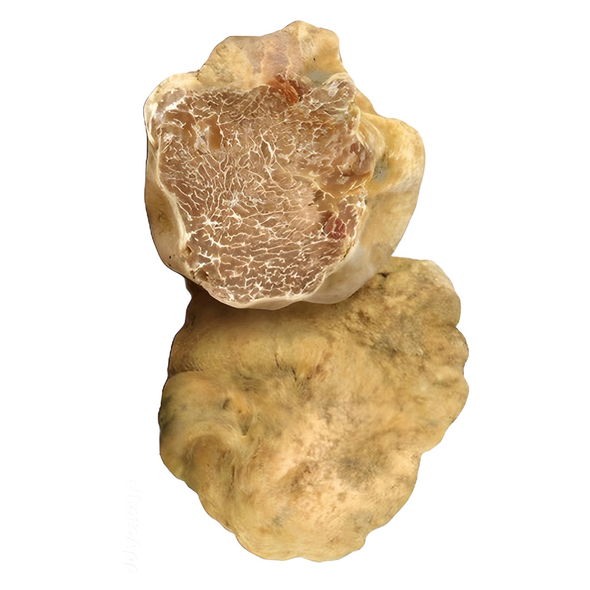 Tartufo Bianco Pregiato