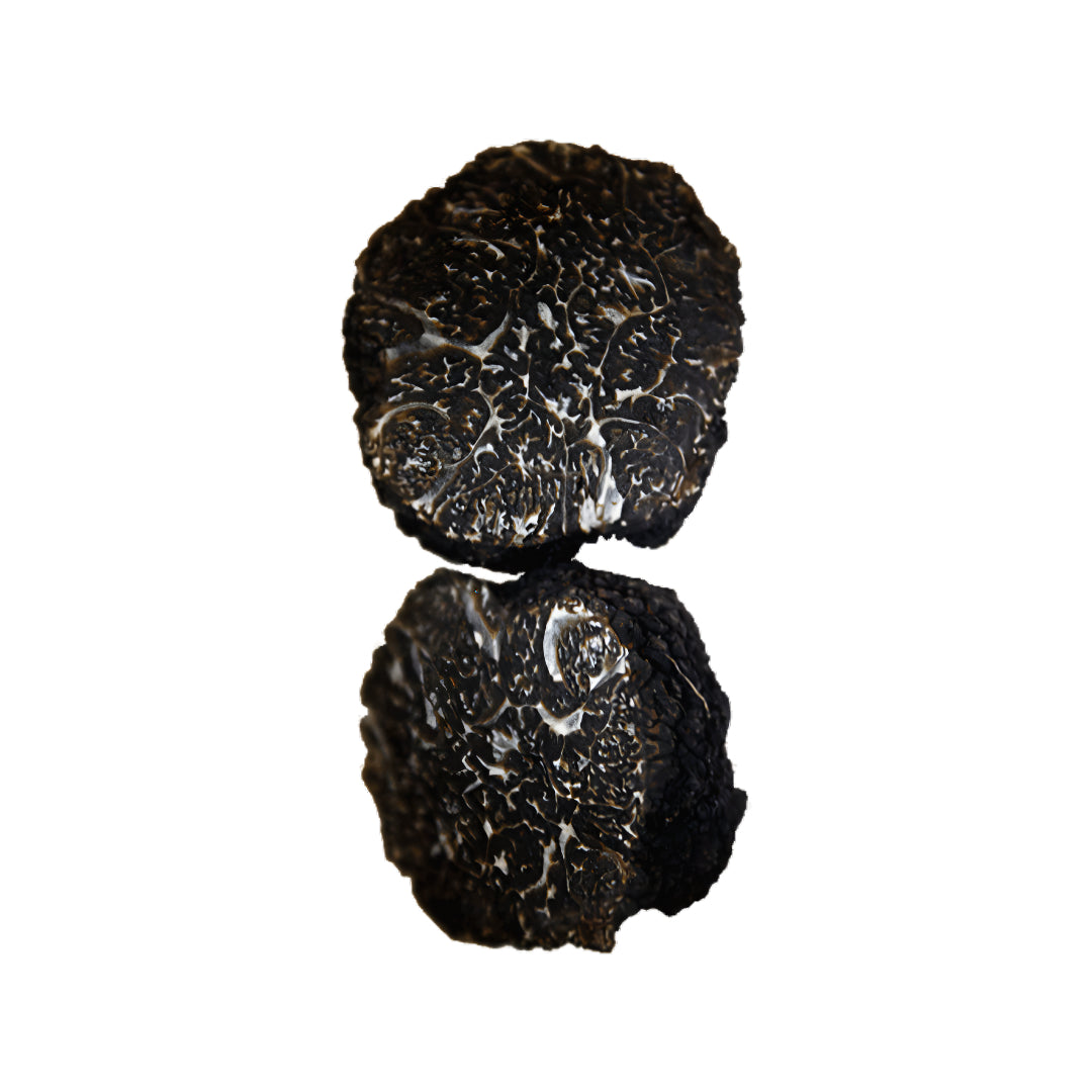 Tartufo Nero Pregiato di Norcia fresco