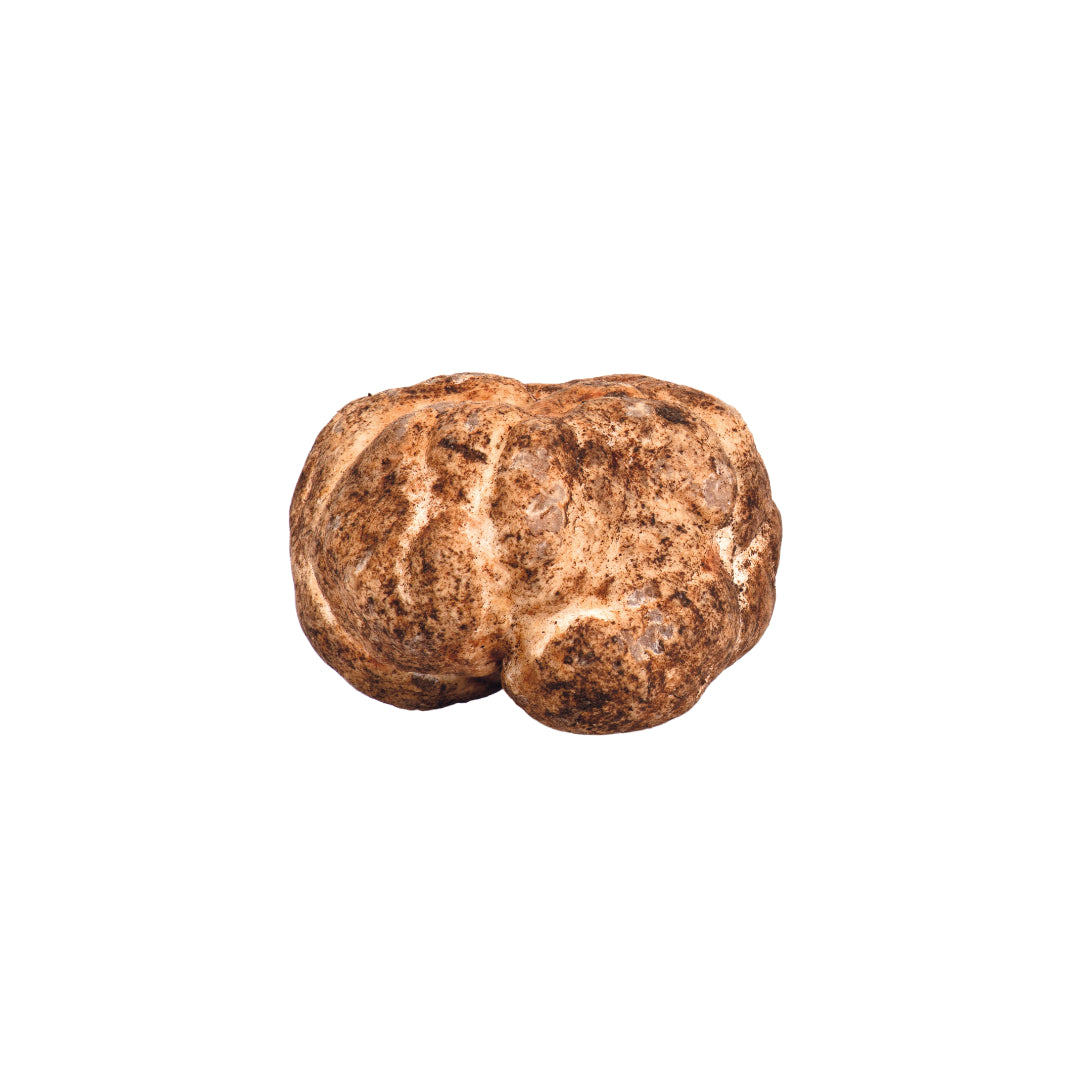 Tartufo Bianco Pregiato