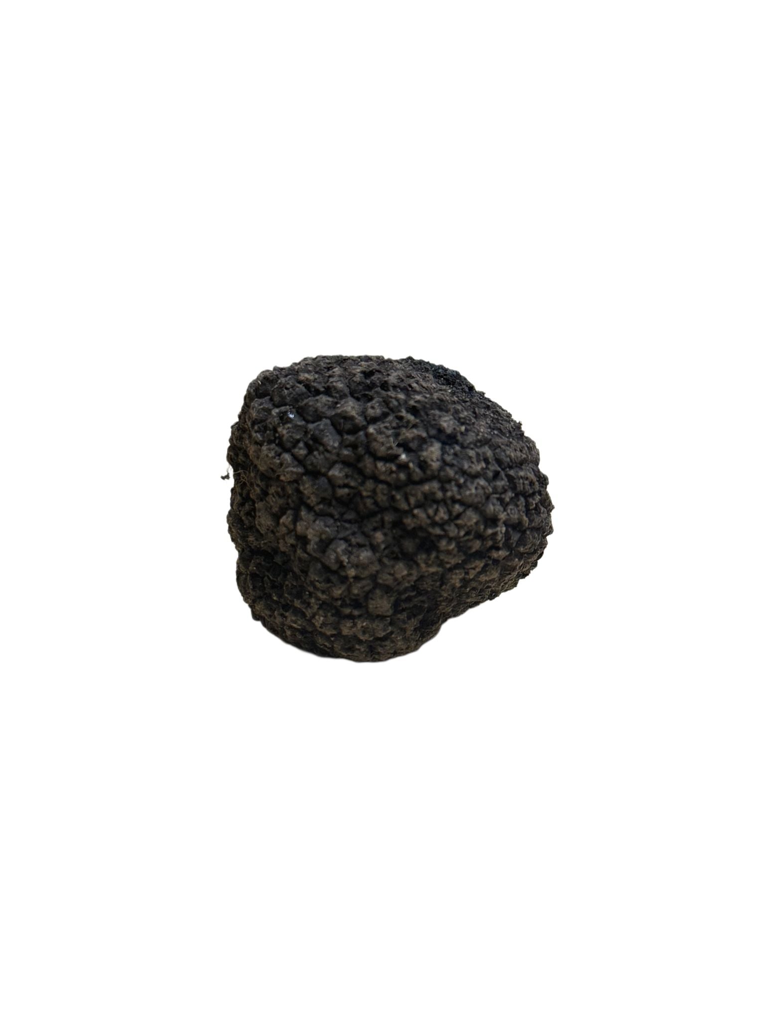 Tartufo Nero Pregiato di Norcia fresco