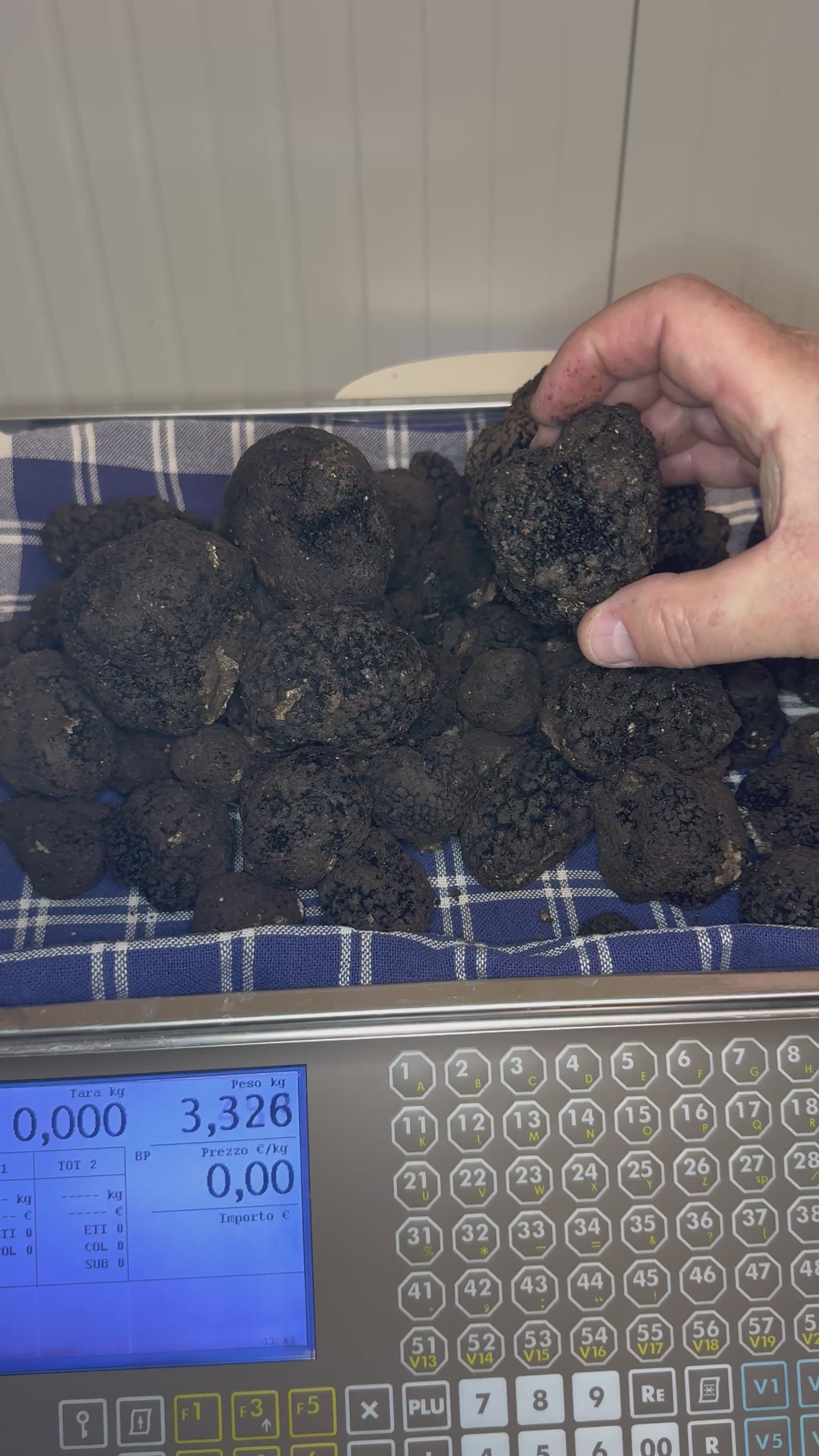 Tartufo Nero Uncinato Fresco di Norcia + Olio al Tartufo Omaggio